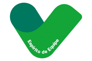 valores-espirito-de-equipe-1002x1024 valores-espirito-de-equipe-1002x1024